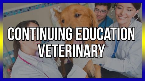 Online Continuing Education Courses for Veterinary .
